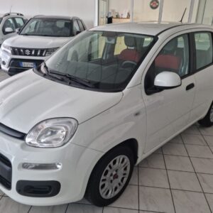 FIAT Panda 3ª serie Panda 1.0 FireFly S&S Hybrid Easy