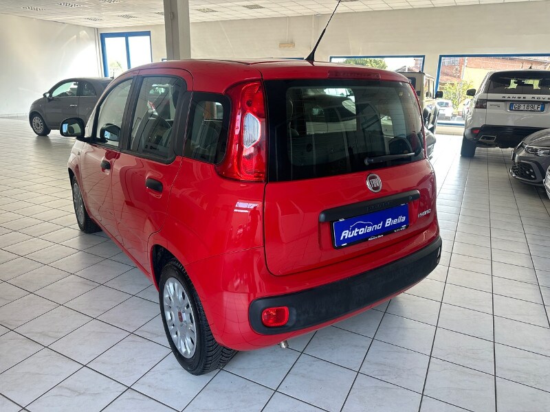 FIAT Panda 3ª serie Panda 1.0 FireFly S&S Hybrid - immagine 8