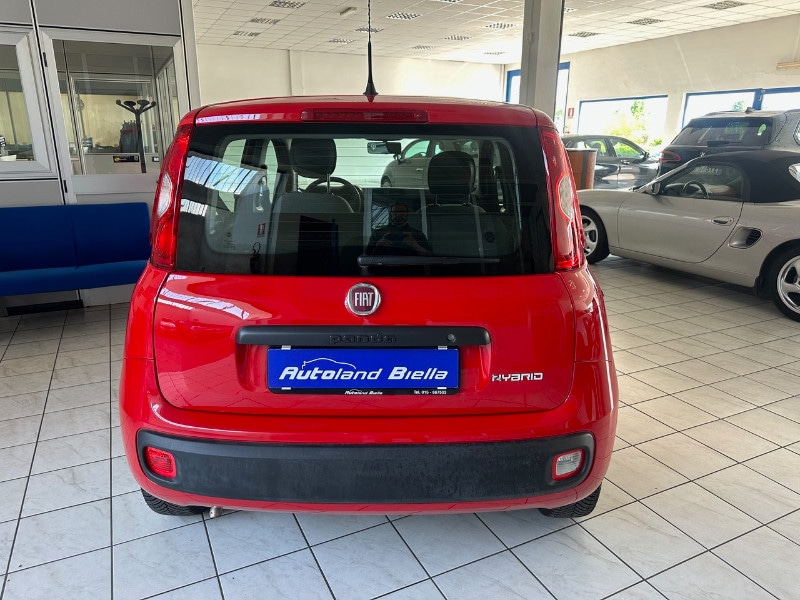 FIAT Panda 3ª serie Panda 1.0 FireFly S&S Hybrid - immagine 7