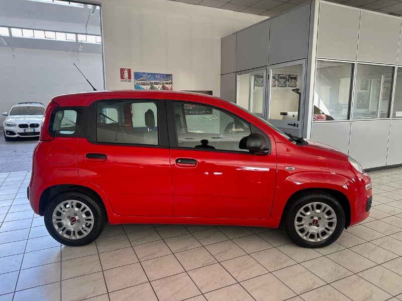 FIAT Panda 3ª serie Panda 1.0 FireFly S&S Hybrid - immagine 5